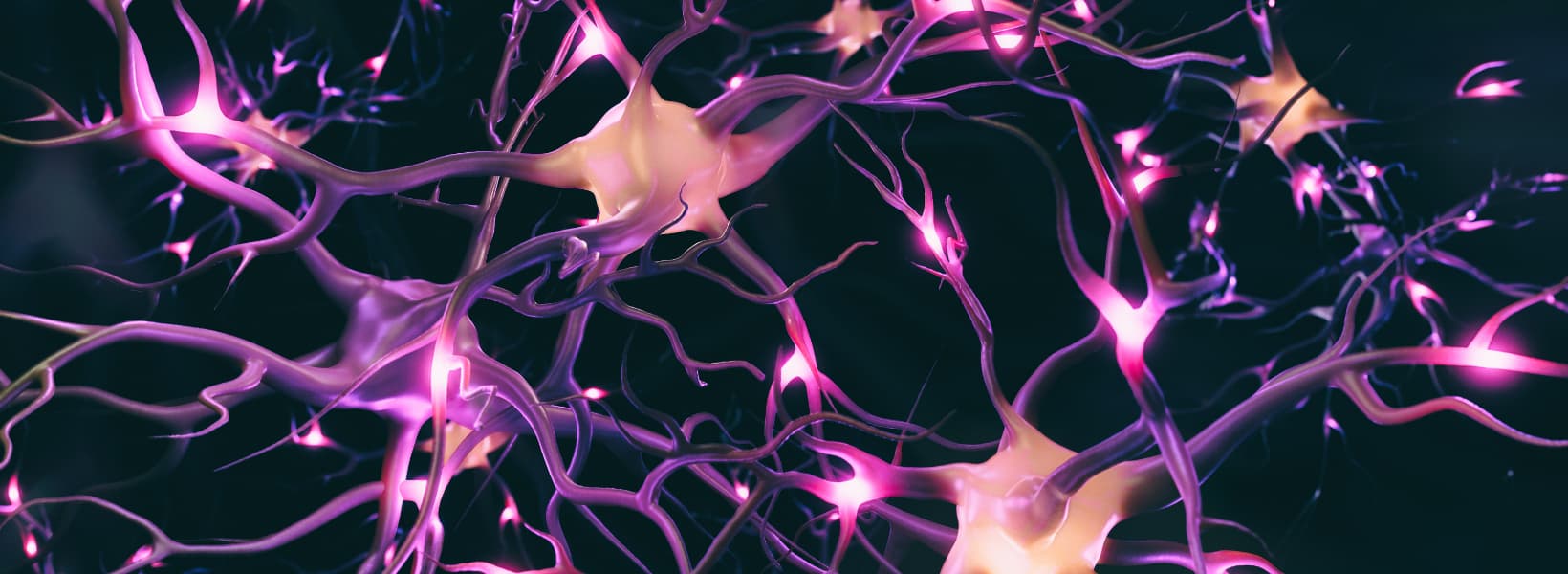 The power of Neuroplasticity