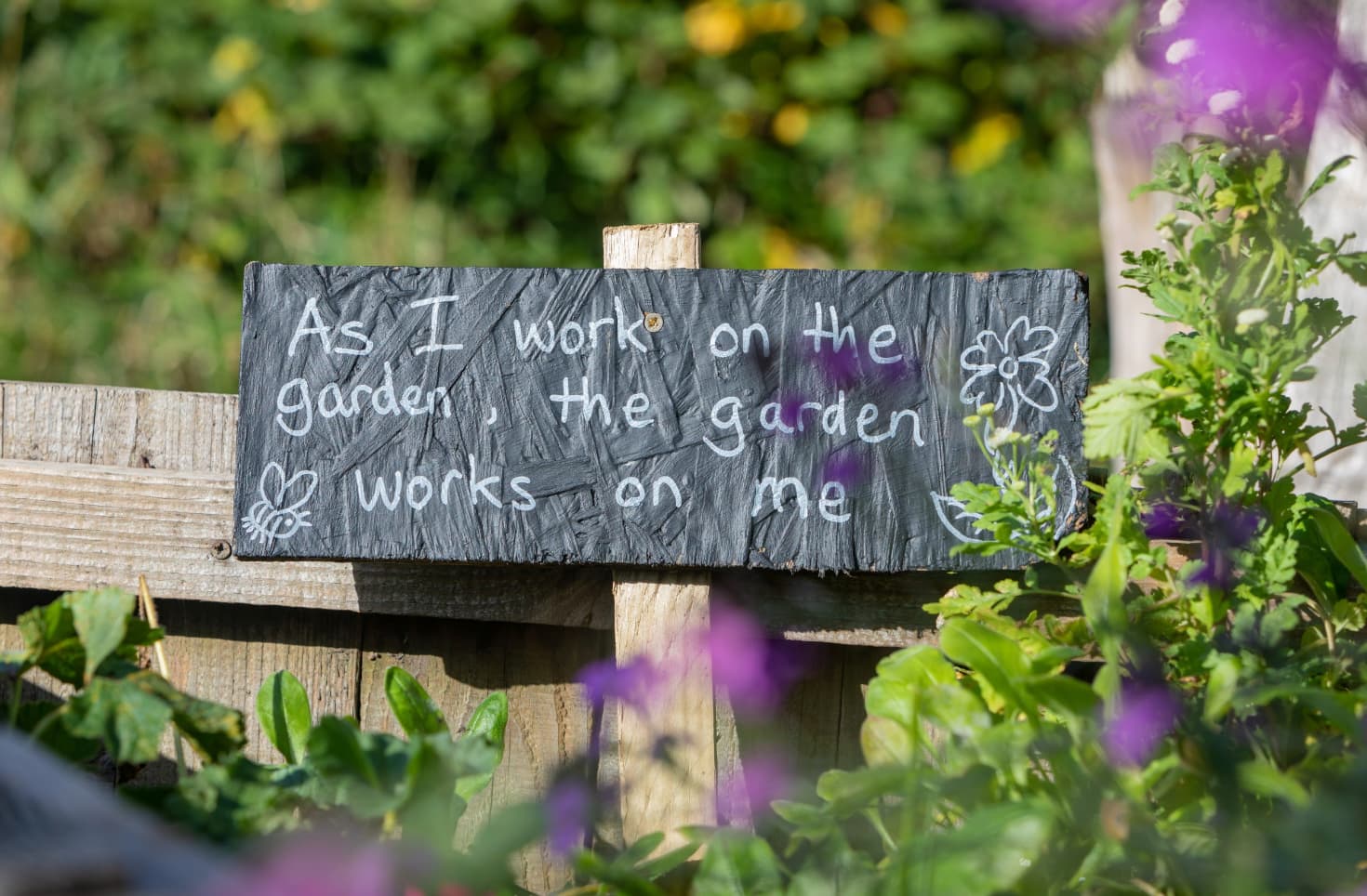 Community Fundraiser Brings Green Therapy to Poole's Brain Injury Patients